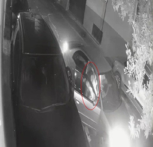 Denizli Haber Otomobilden Yol Kenarına Atılan Kadının Yardım Çığlıkları2