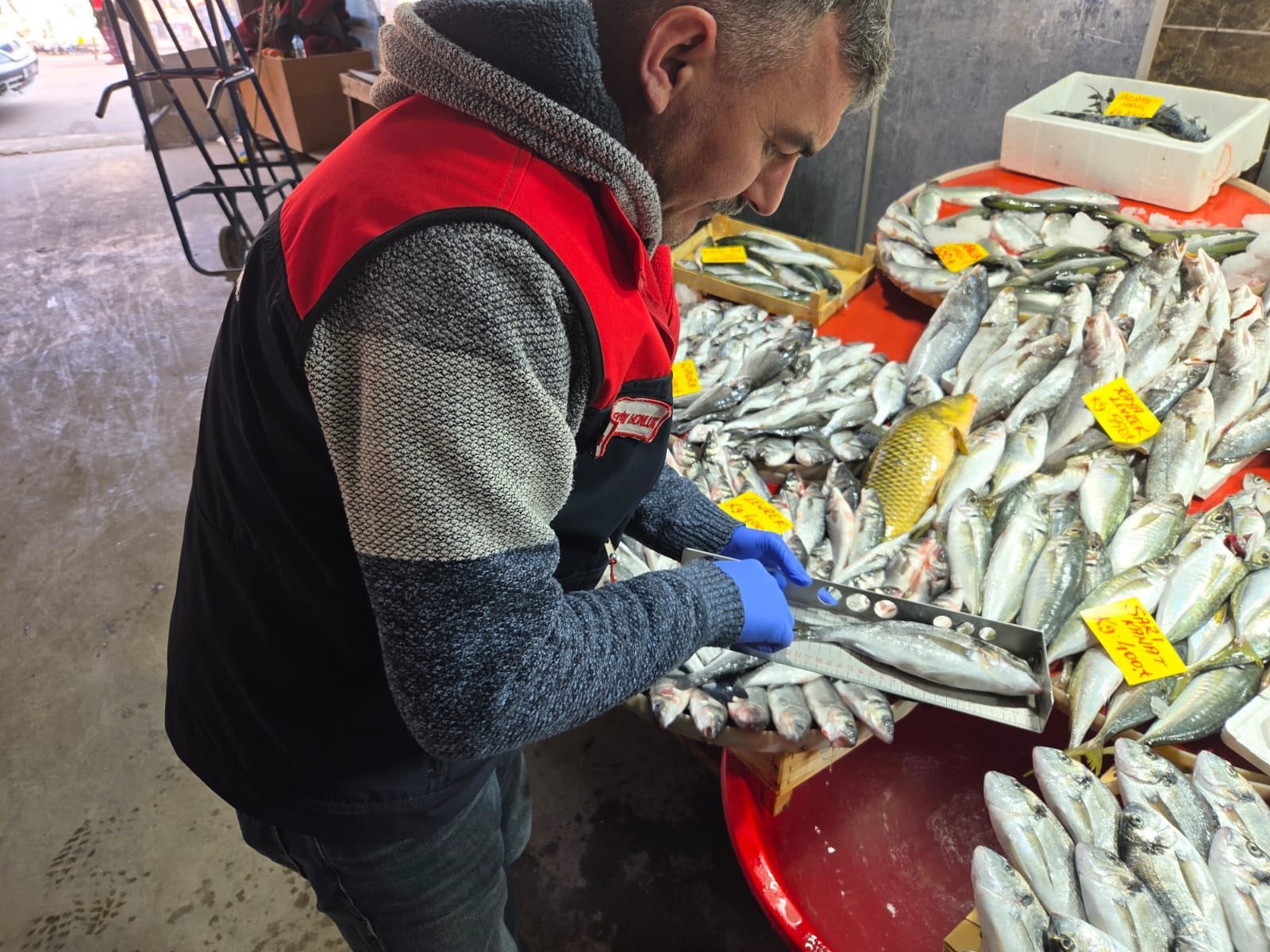 Denizli Haber Su Ürünlerine Yakın Takıp (3)