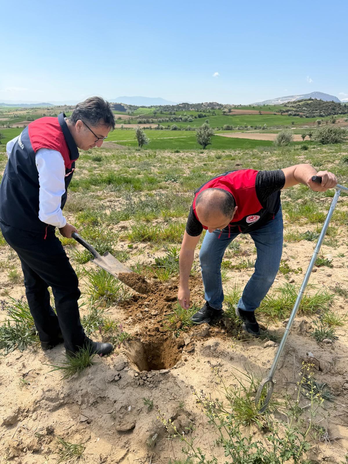 Denizli Haber Tarımarazileri (2)