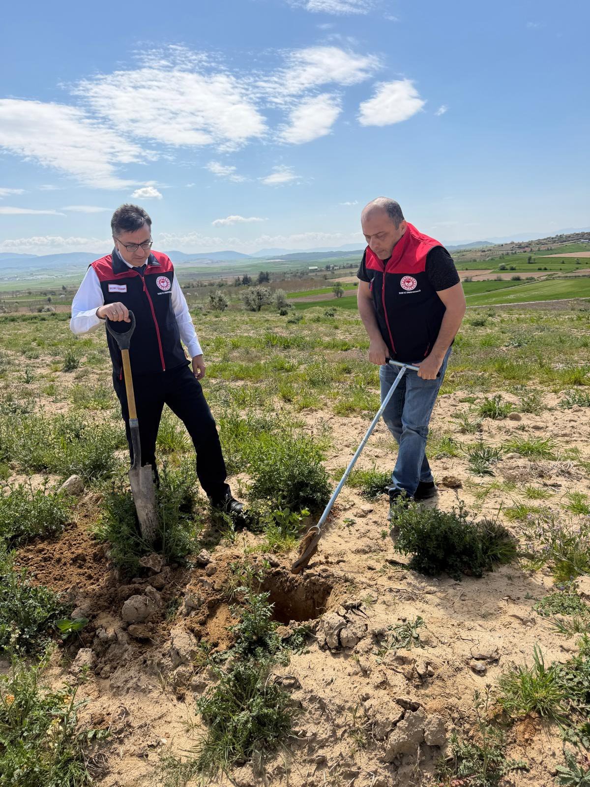 Denizli Haber Tarımarazileri (3)