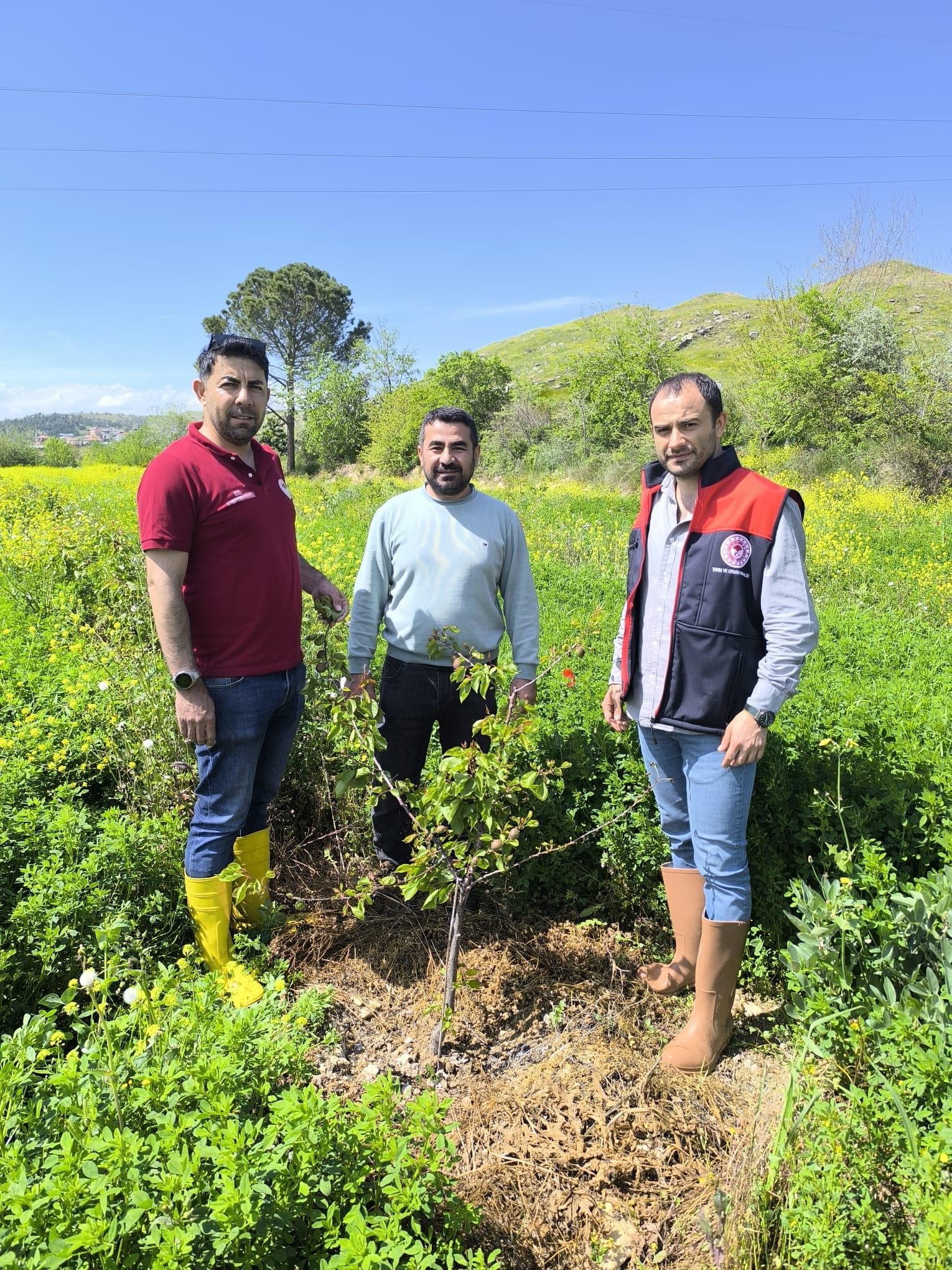 Denizli Haber Tarla Denetim (1)