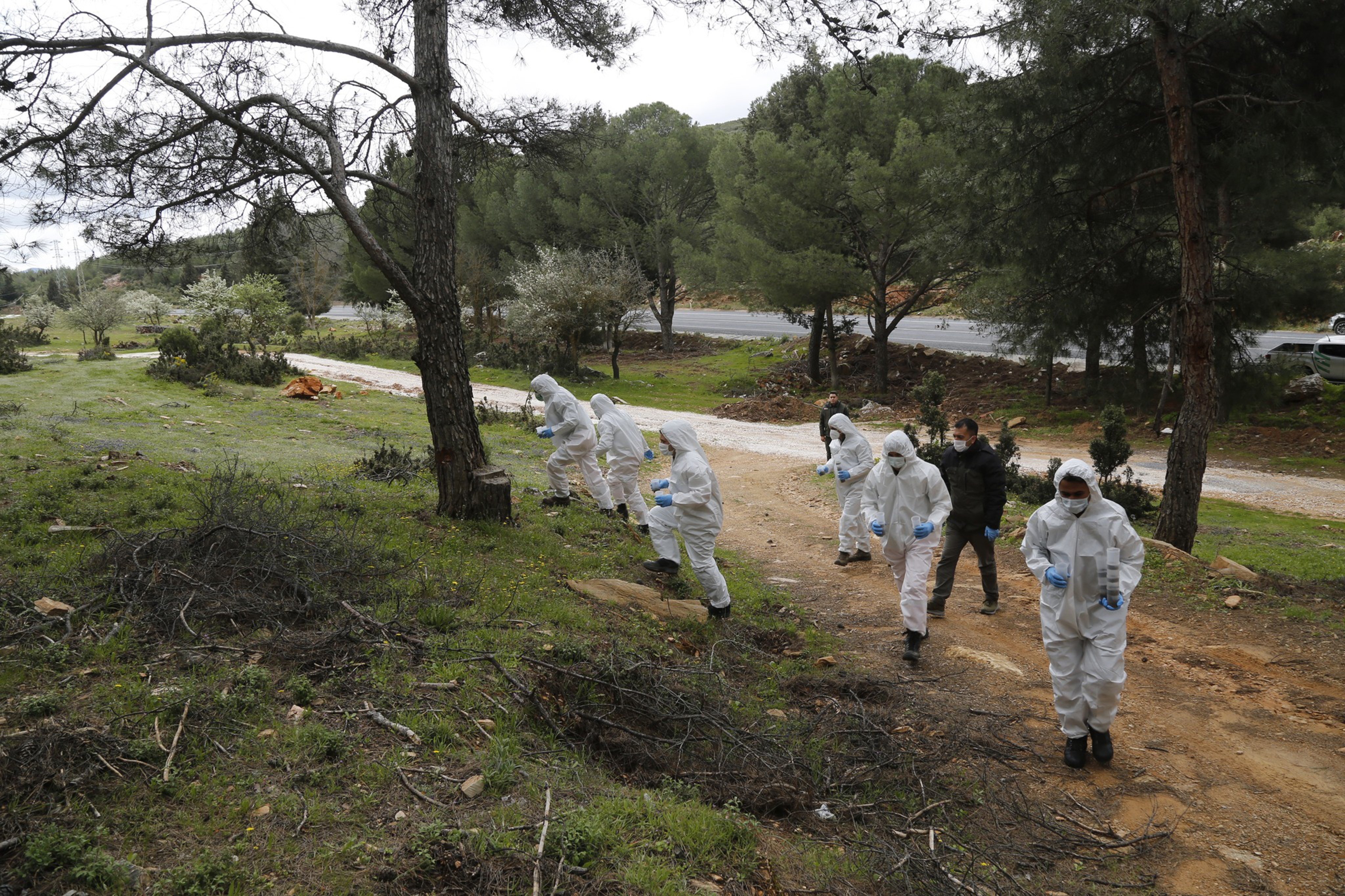 Denizli Haber Terminatörböcekler (1)