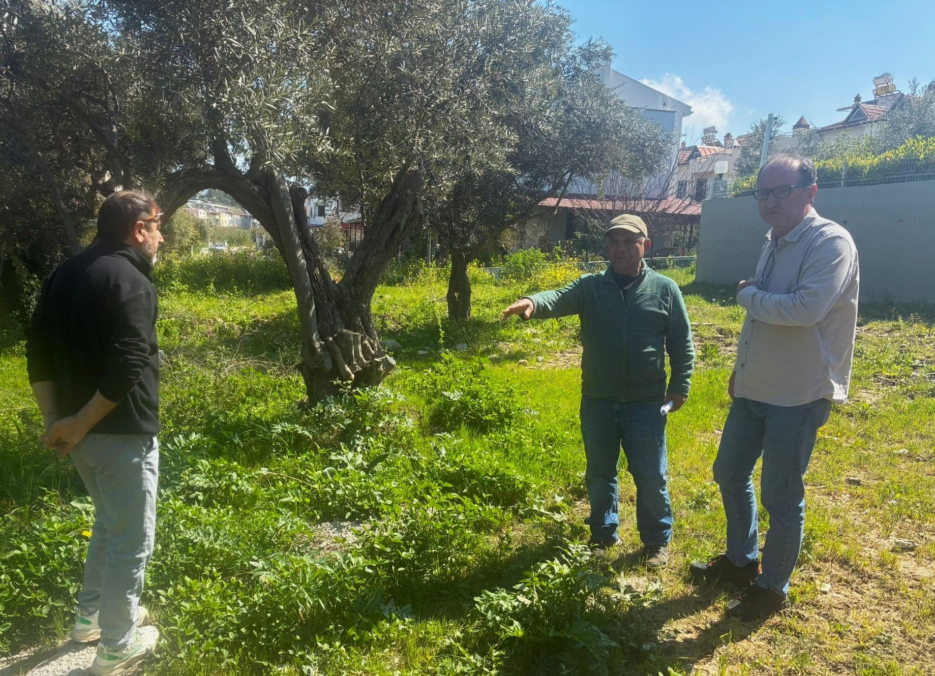 Denizli Haber Tülüşah (1)-1