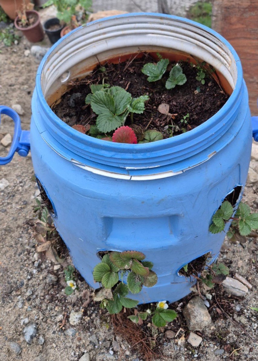 Denizli Haber Üreticiler (2)