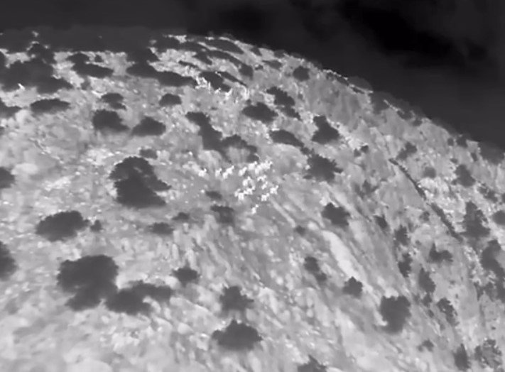 Denizli Haber Yabankeçileri (3)