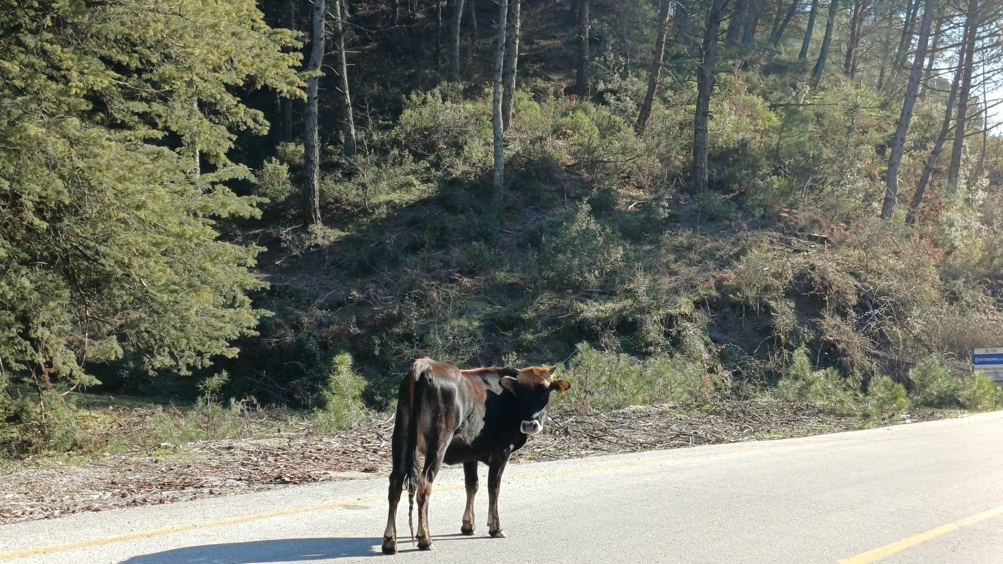 Denizli Haber Yem Fiyatları Arttı (2)
