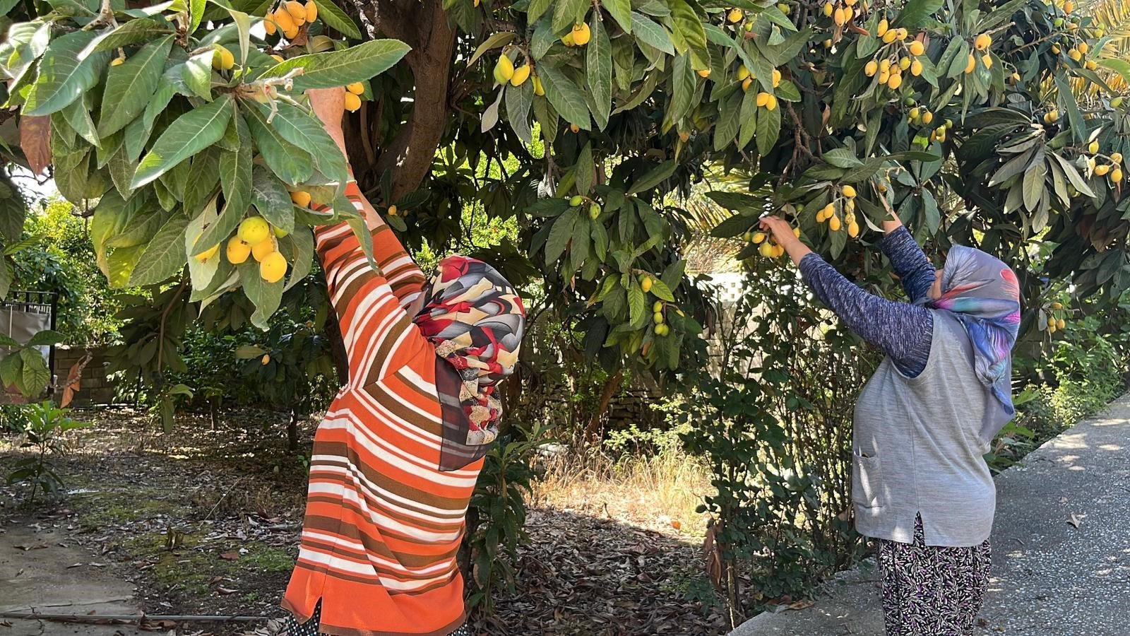 Denizli Haber Yeni Dünya Dağıttı (1)