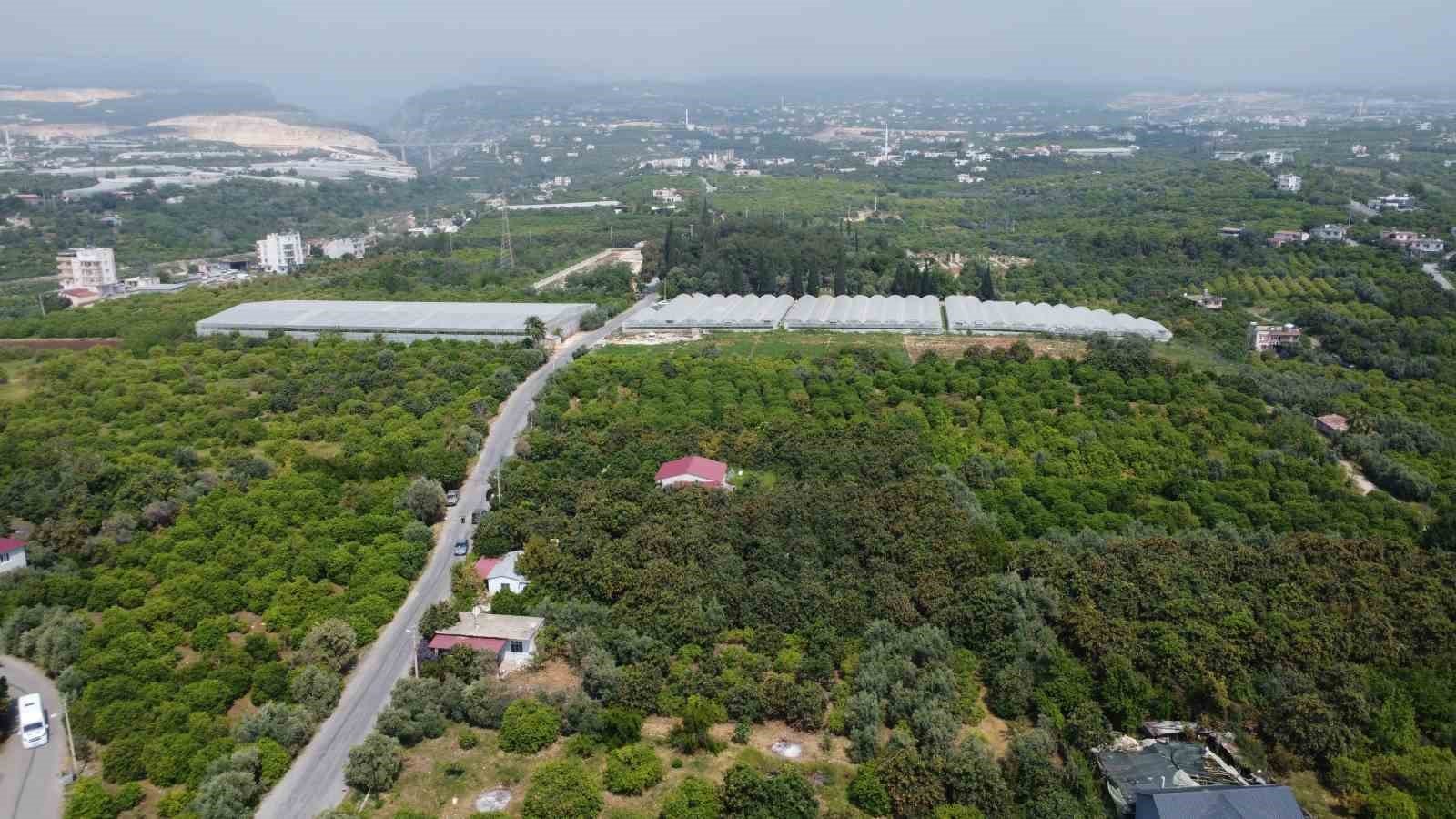 Denizli Haber Yenidünya (1)