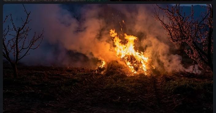 Denizli Haber Zirai Don (2)