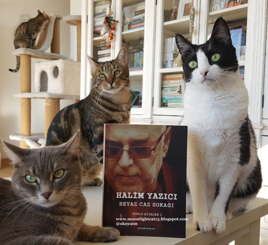 Mustafa Kaya Köşe25 (15)