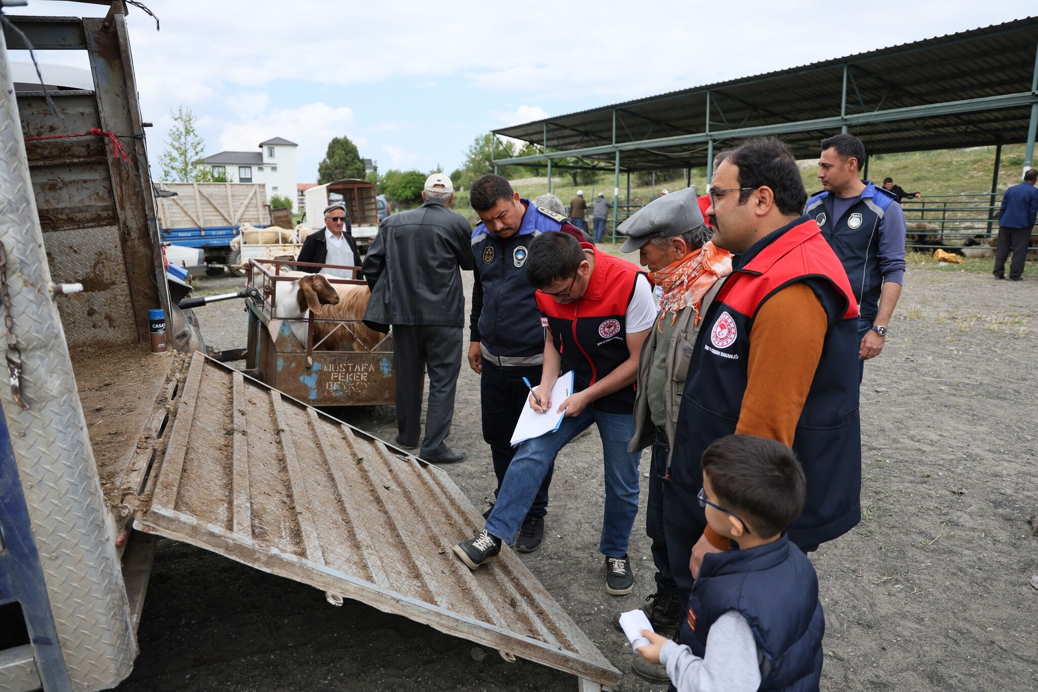 Çameli'de Kurbanlık Alışverişine Sıkı Denetim Küpe Ve Evraklar Tek Tek İnceleniyor (3)