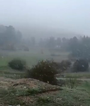 Denizli Habe Rkar2