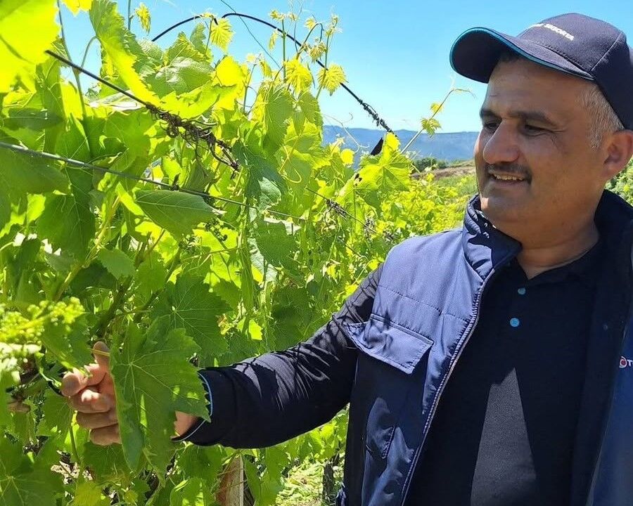 Denizli Haber 1-6