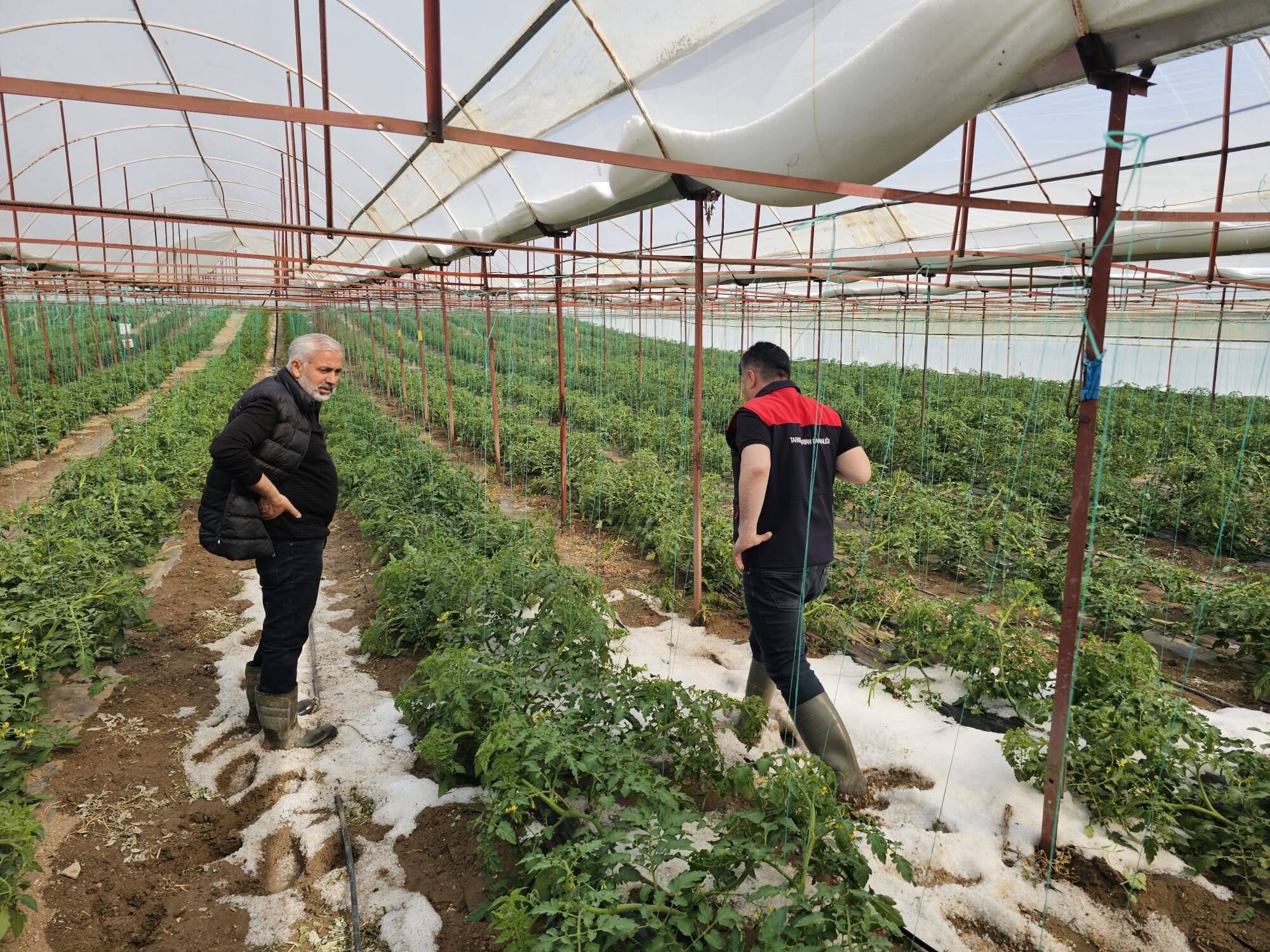 Denizli Haber Acıpayam Dolu (2)