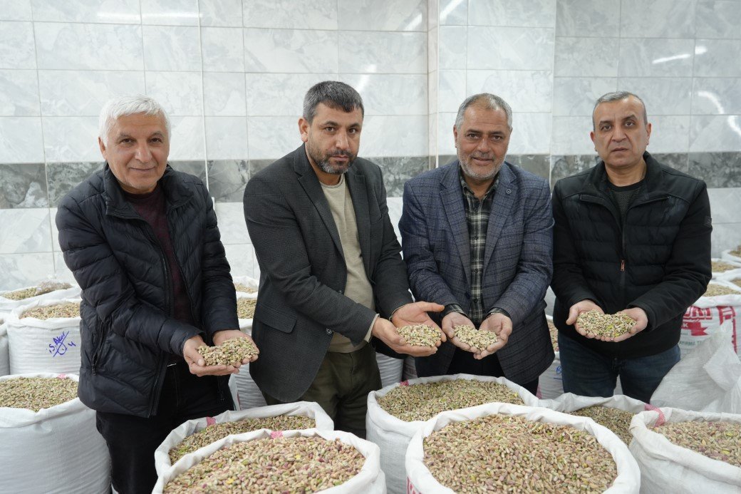 Denizli Haber Antep Fıstığı (1)
