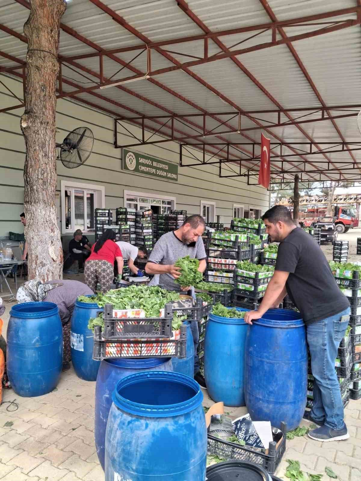 Denizli Haber Bağ Yaprağı (1)