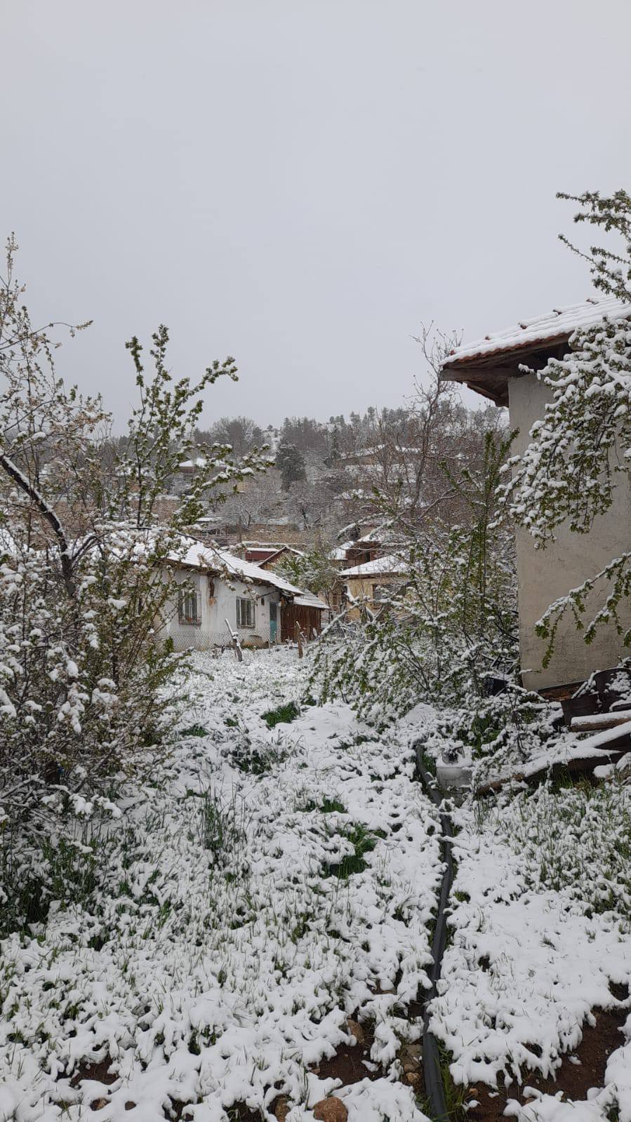 Denizli Haber Çameli Kar Yağışı (1)