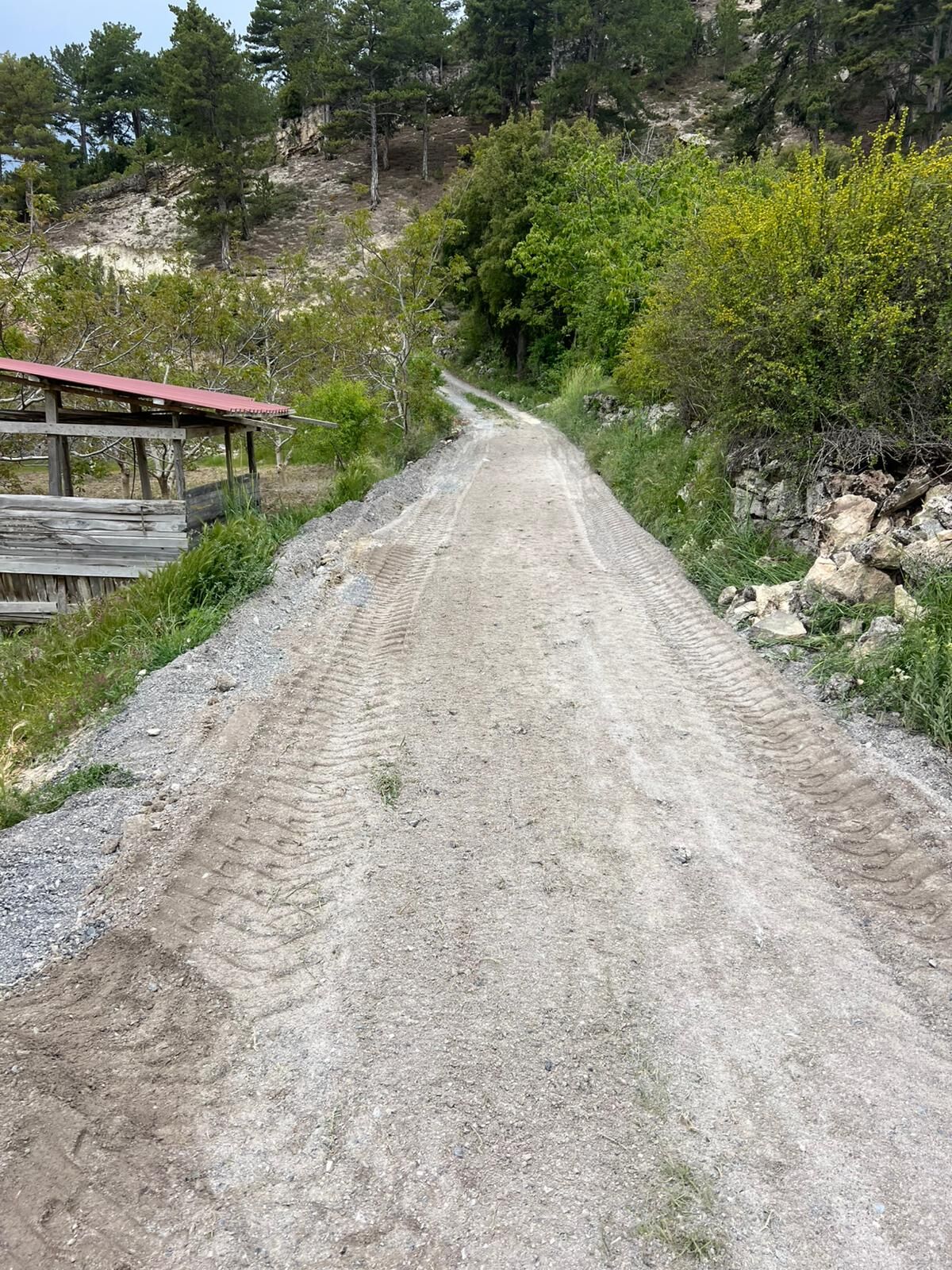 Denizli Haber Çameli Yol Çalışması (3)