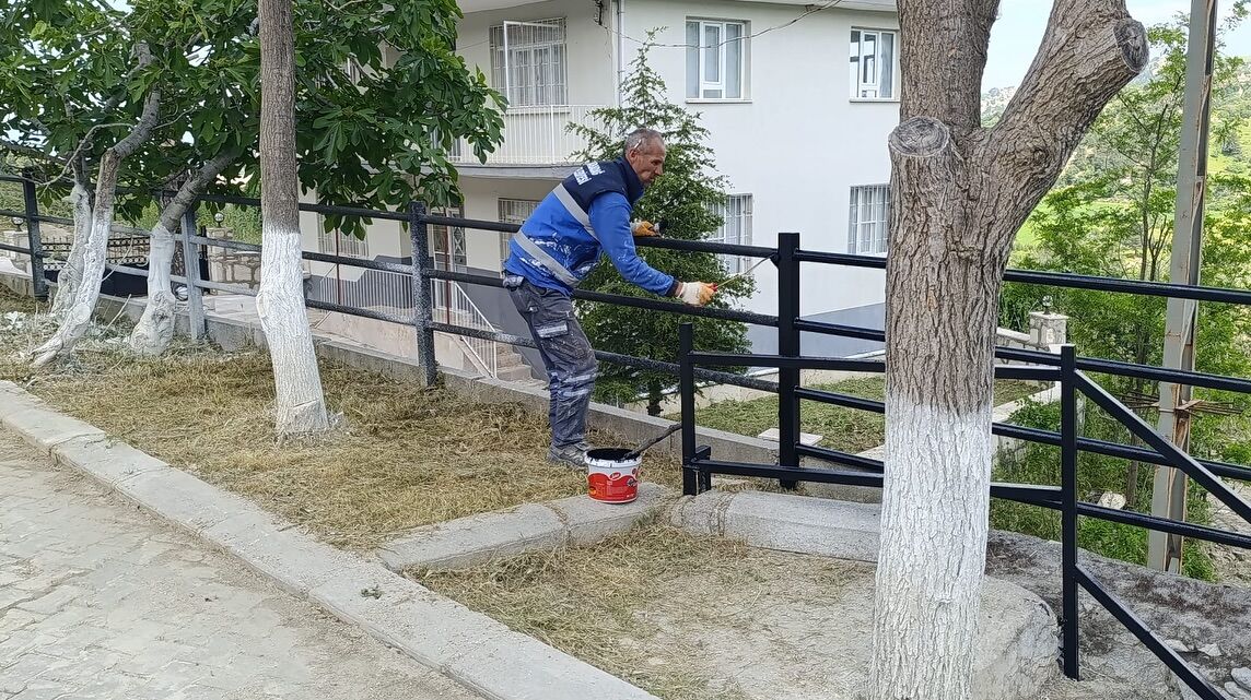 Deni̇zli̇ Haber Hayiryemeği̇ (1)