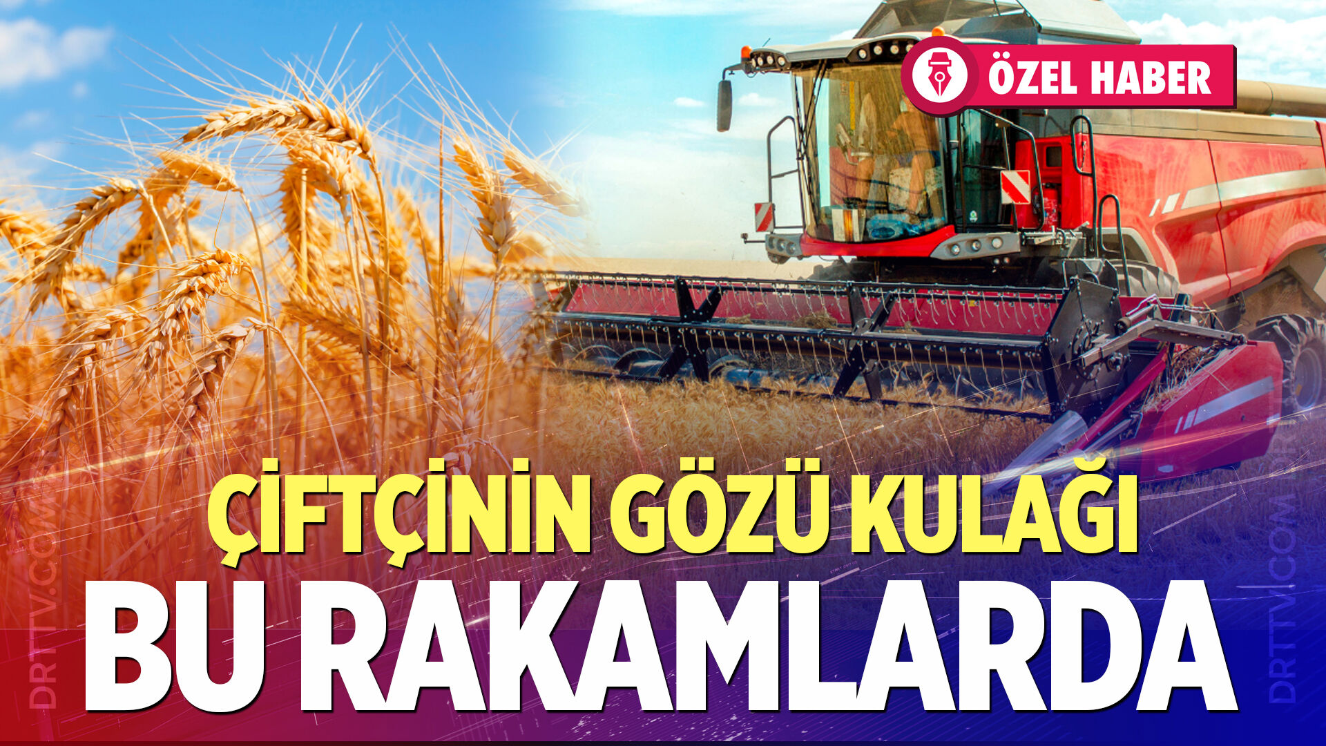 Hububatta gözler fiyatta: "Arpa 18, buğday 20 TL olmalı!"