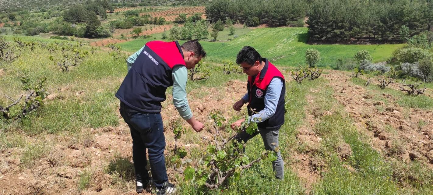 Denizli Haber Il Tarım Mercek Altı (1)
