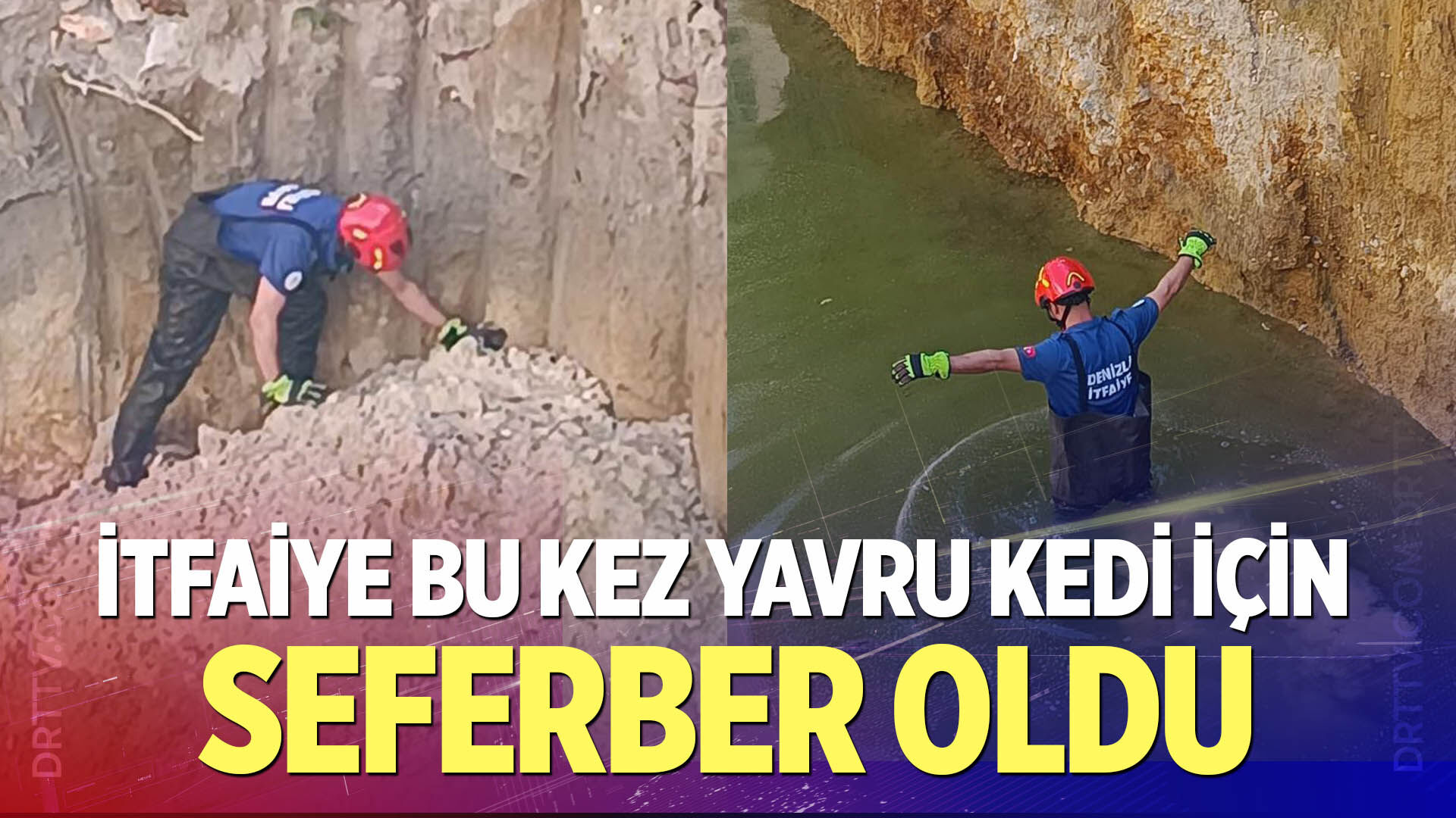 İtfaiye Bu Kez Yavru Kedi İçin Seferber Oldu