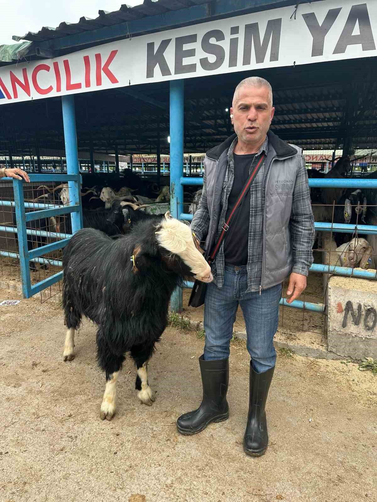 Denizli Haber Keçi 47 Bin (1)
