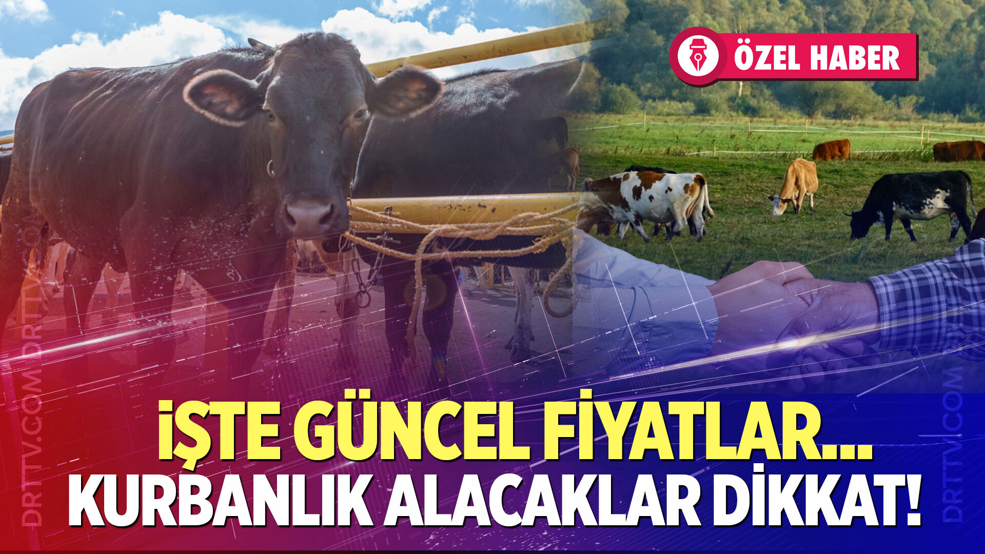 Denizli’de kurbanlık fiyatları ne kadar?