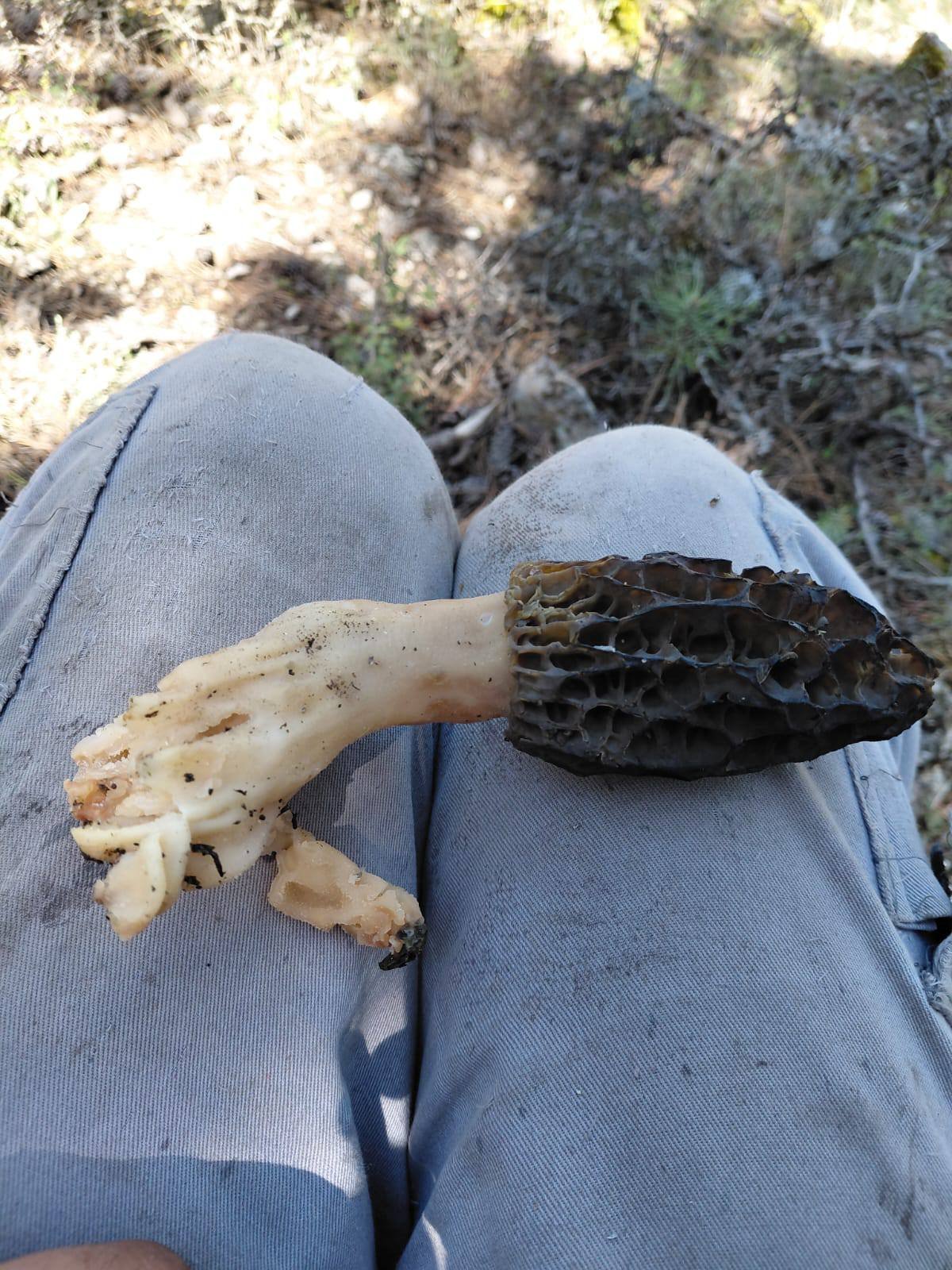 Denizli Haber Kuzu Göbeği (2)