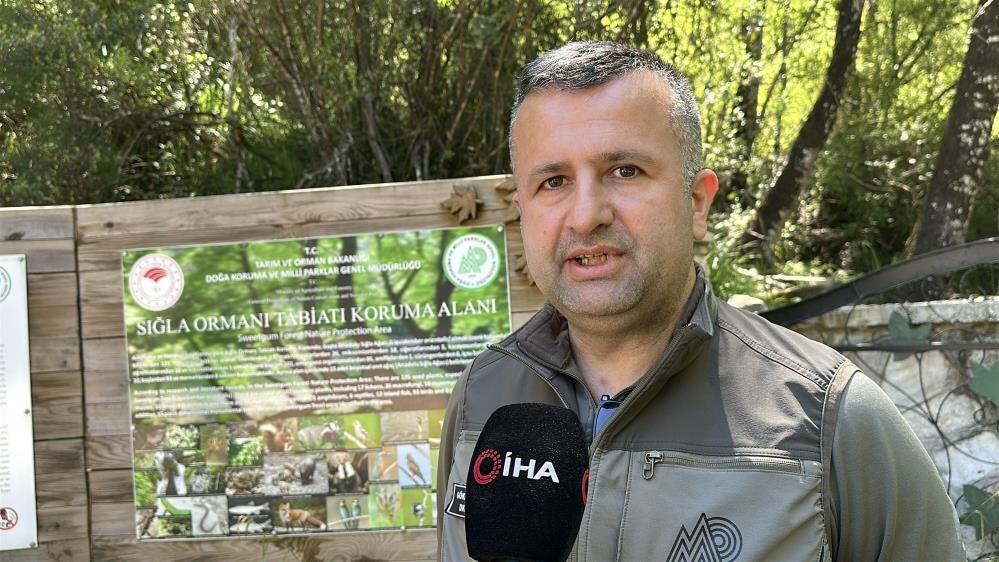 Deni̇zli̇ Haber Orman Özel İzi̇nle Gi̇ri̇li̇yor (3)