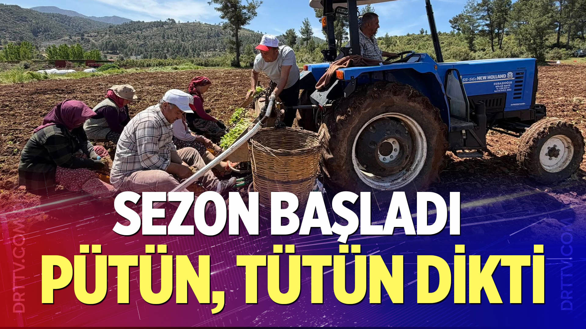 Başkan Pütün Tarlaya İndi