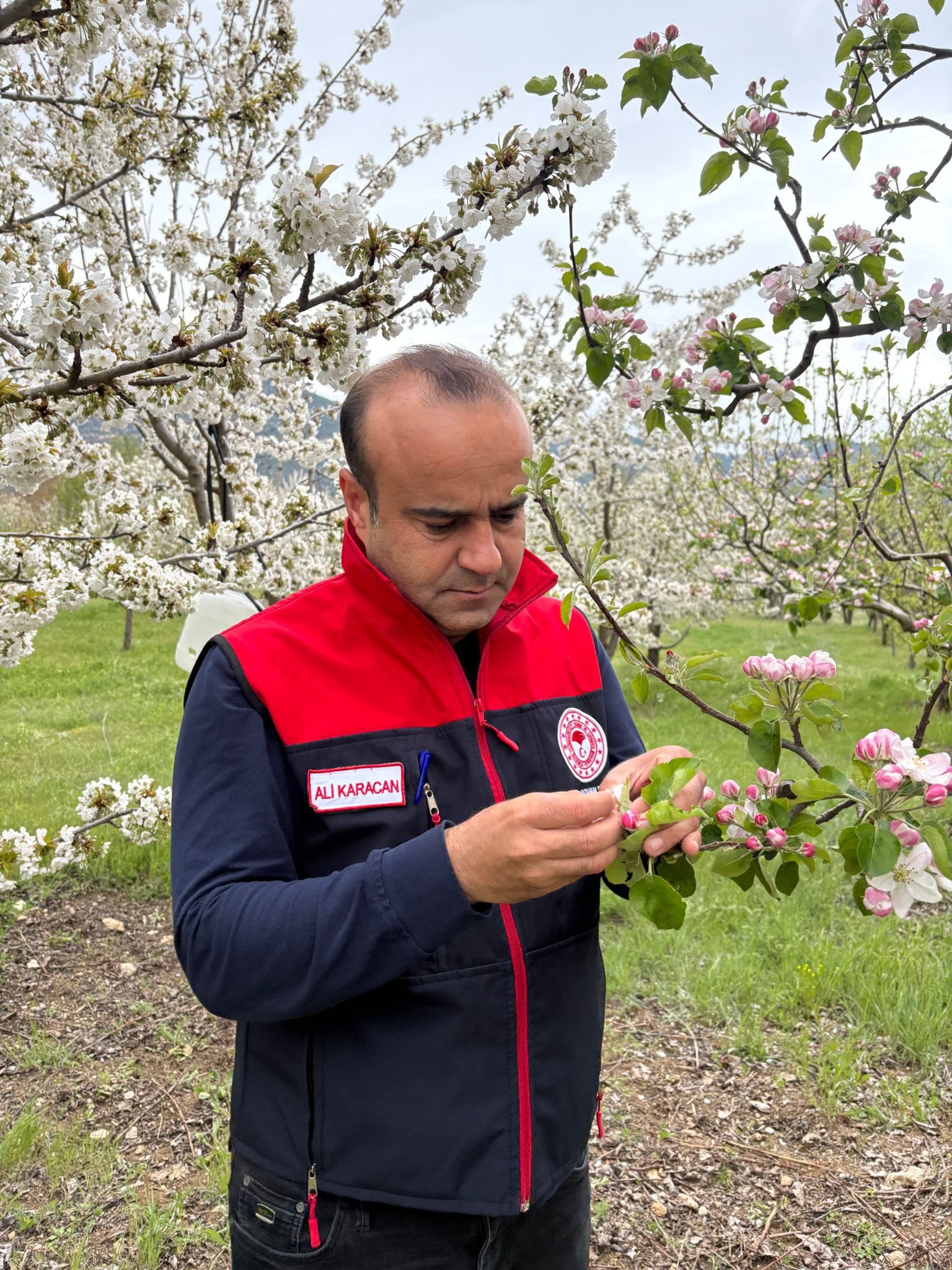 Denizli’de Soğuk Hava Alarmı Tarım Ekipleri Sahaya İndi!2