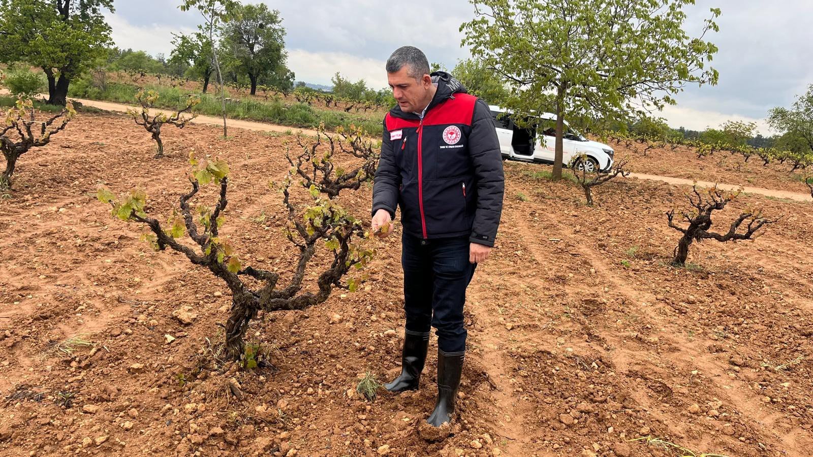 Denizli’de Soğuk Hava Alarmı Tarım Ekipleri Sahaya İndi!3
