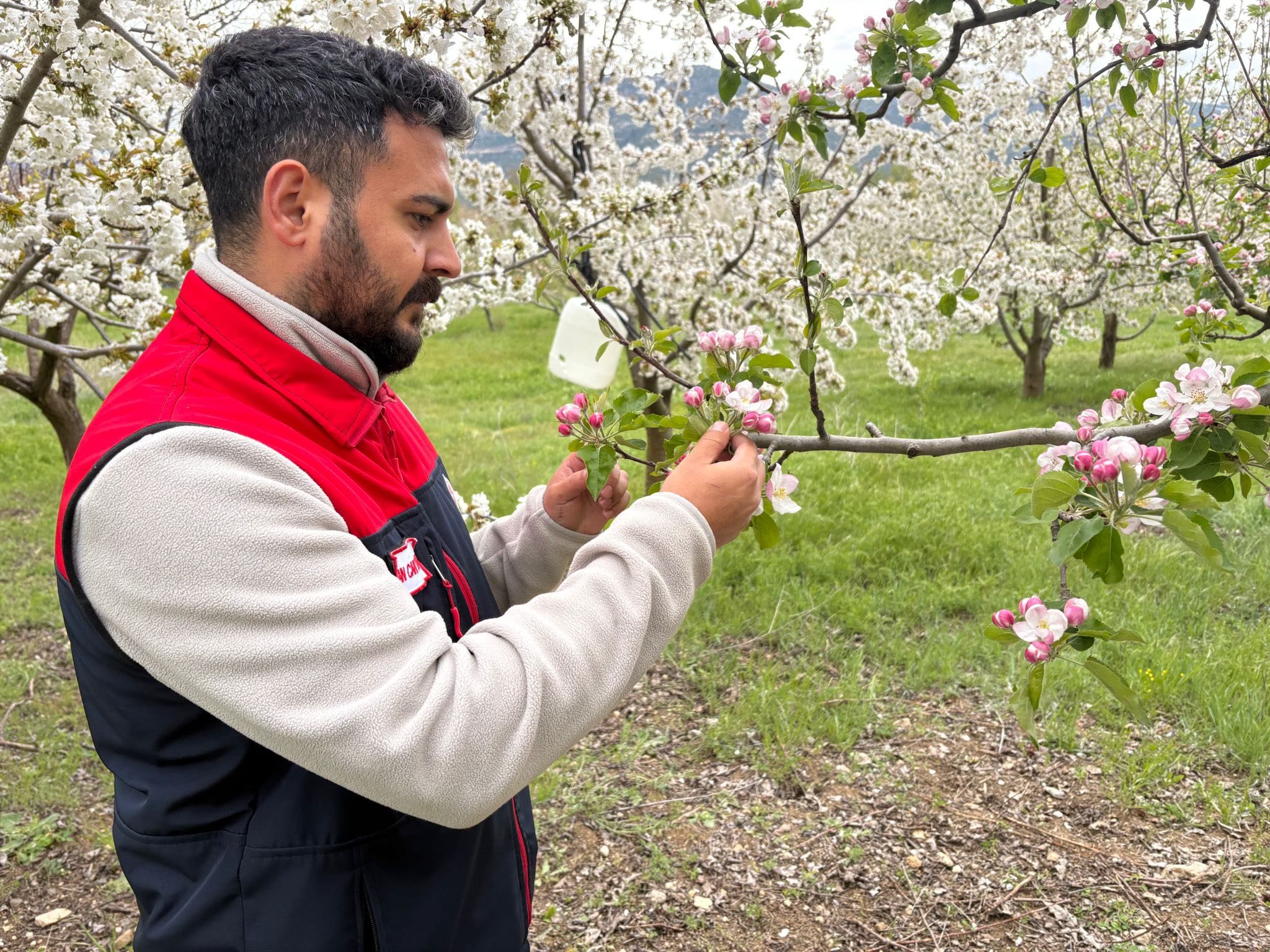 Denizli’de Soğuk Hava Alarmı Tarım Ekipleri Sahaya İndi!4