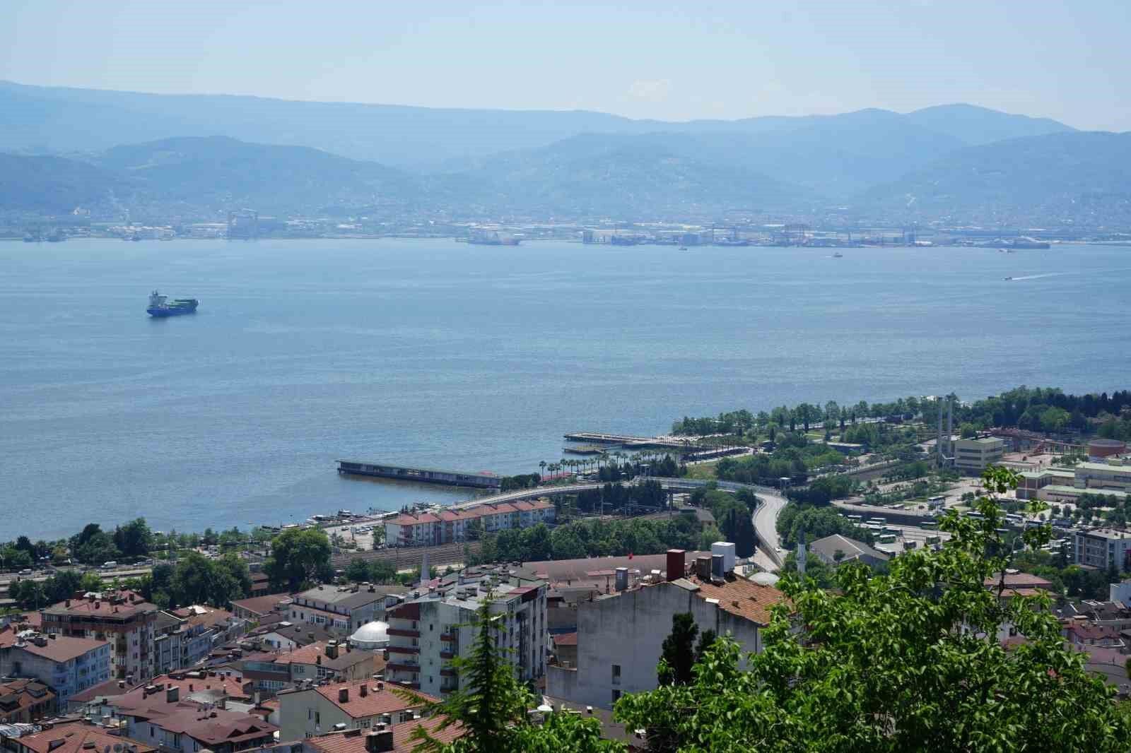 Denizli Haber Asırlık Ağaç (2)