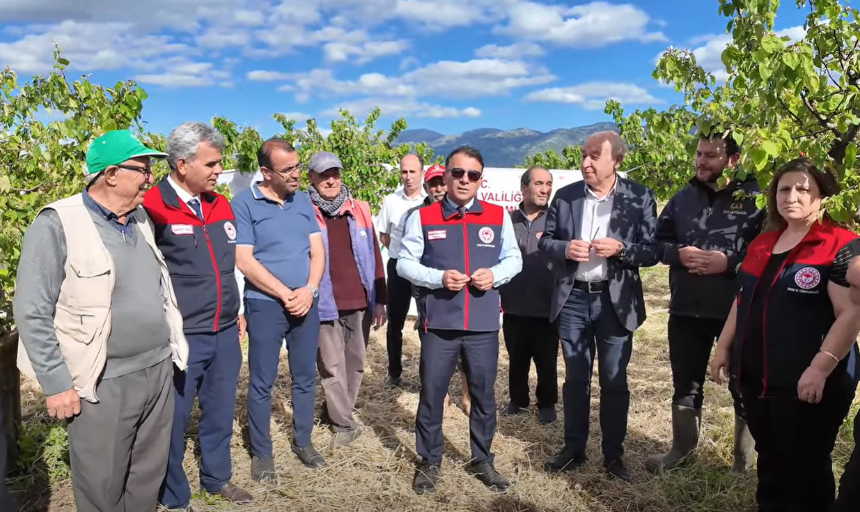 Denizli Haber Ayva Bahçeleri (1)