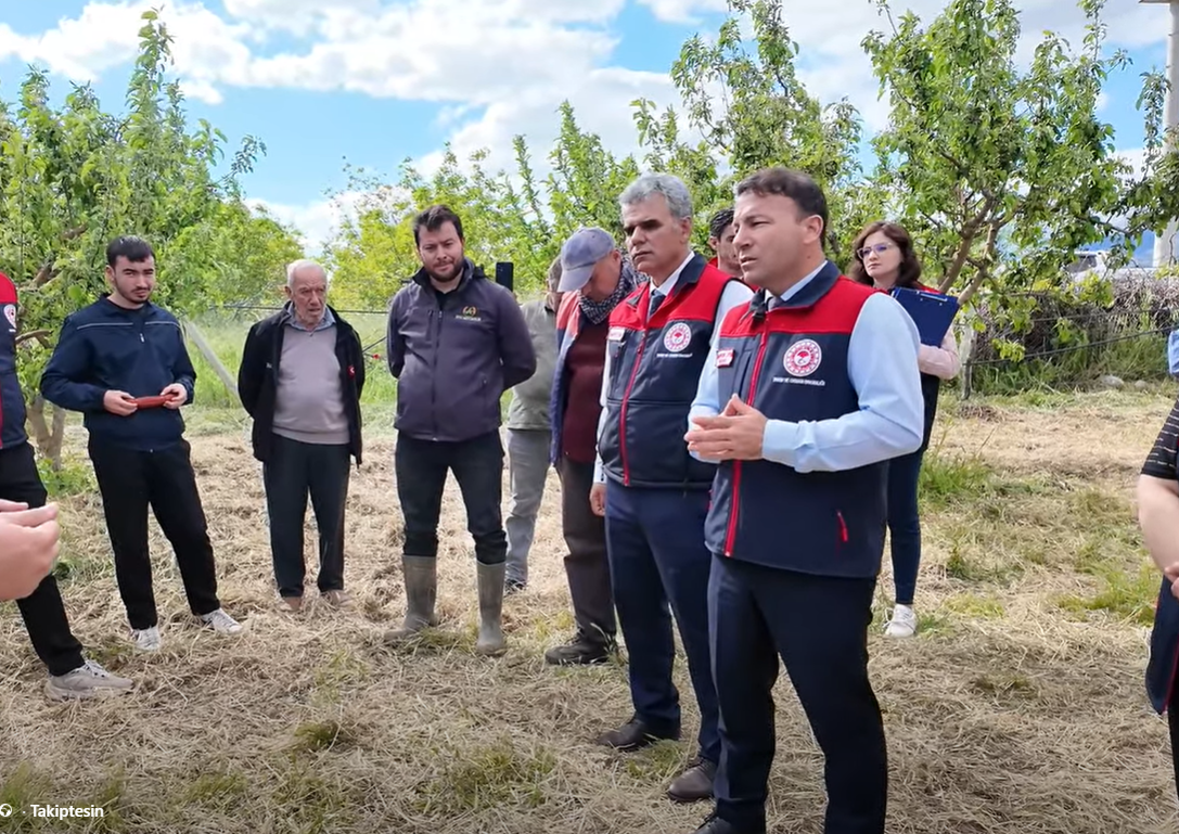 Denizli Haber Ayva Bahçeleri (5)