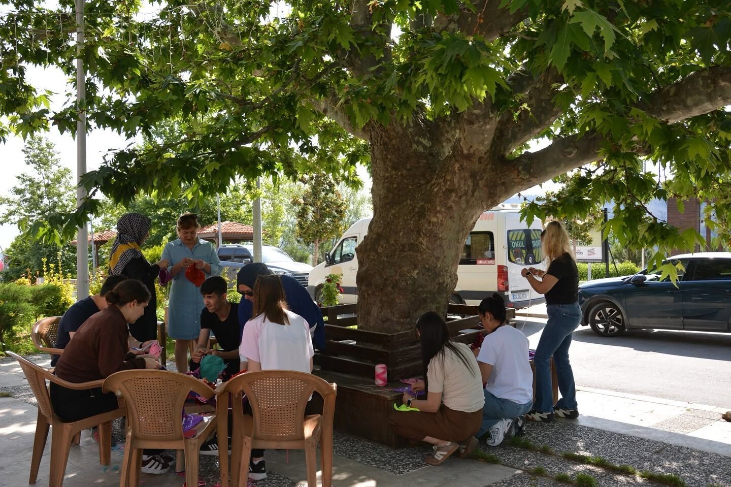 Denizli Haber Babadağağaç7