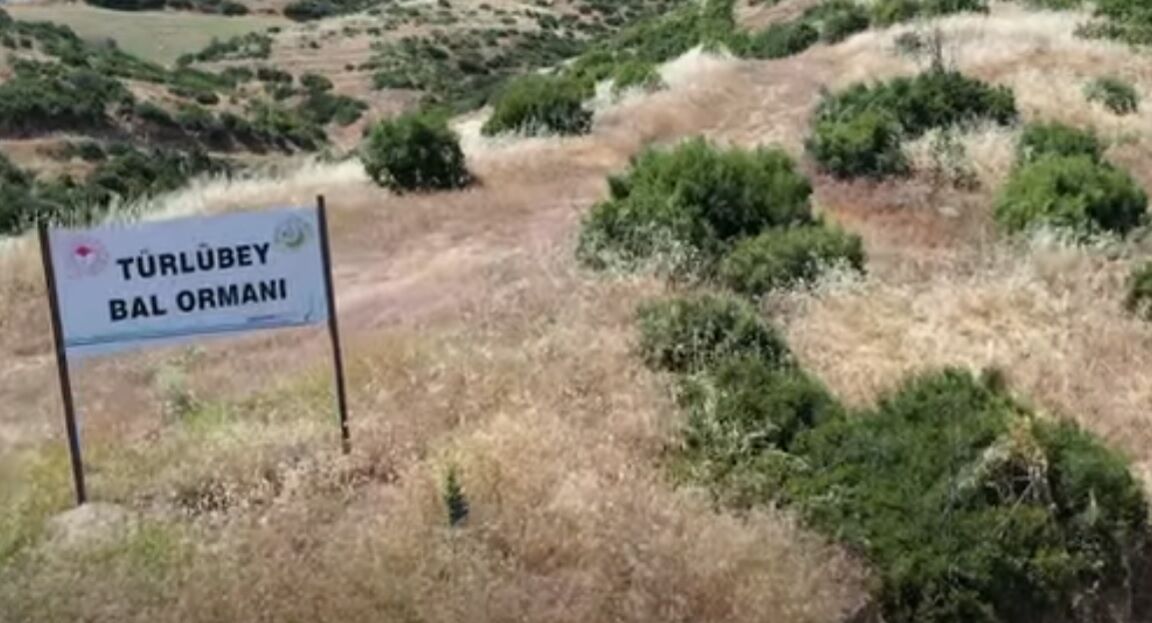 Denizli Haber Balormanı2