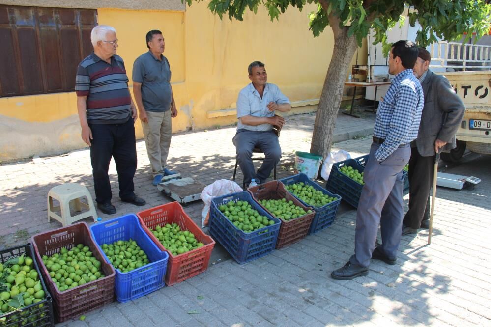 Denizli Haber Bu Pazarda Meyve Değil Sinek Satılıyor26