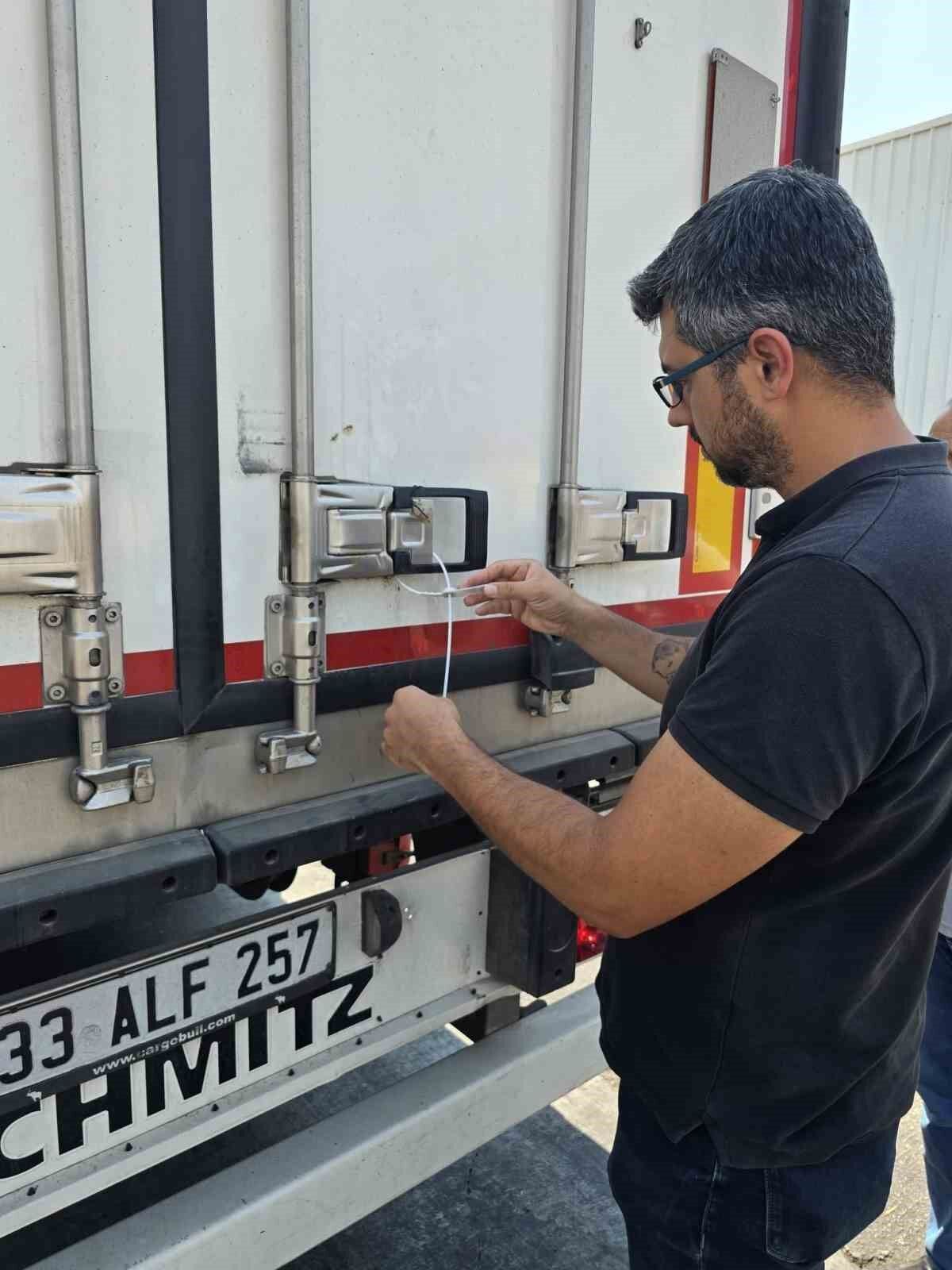 Denizli Haber Didim’in Balıkları, İngiltere Yolcusu