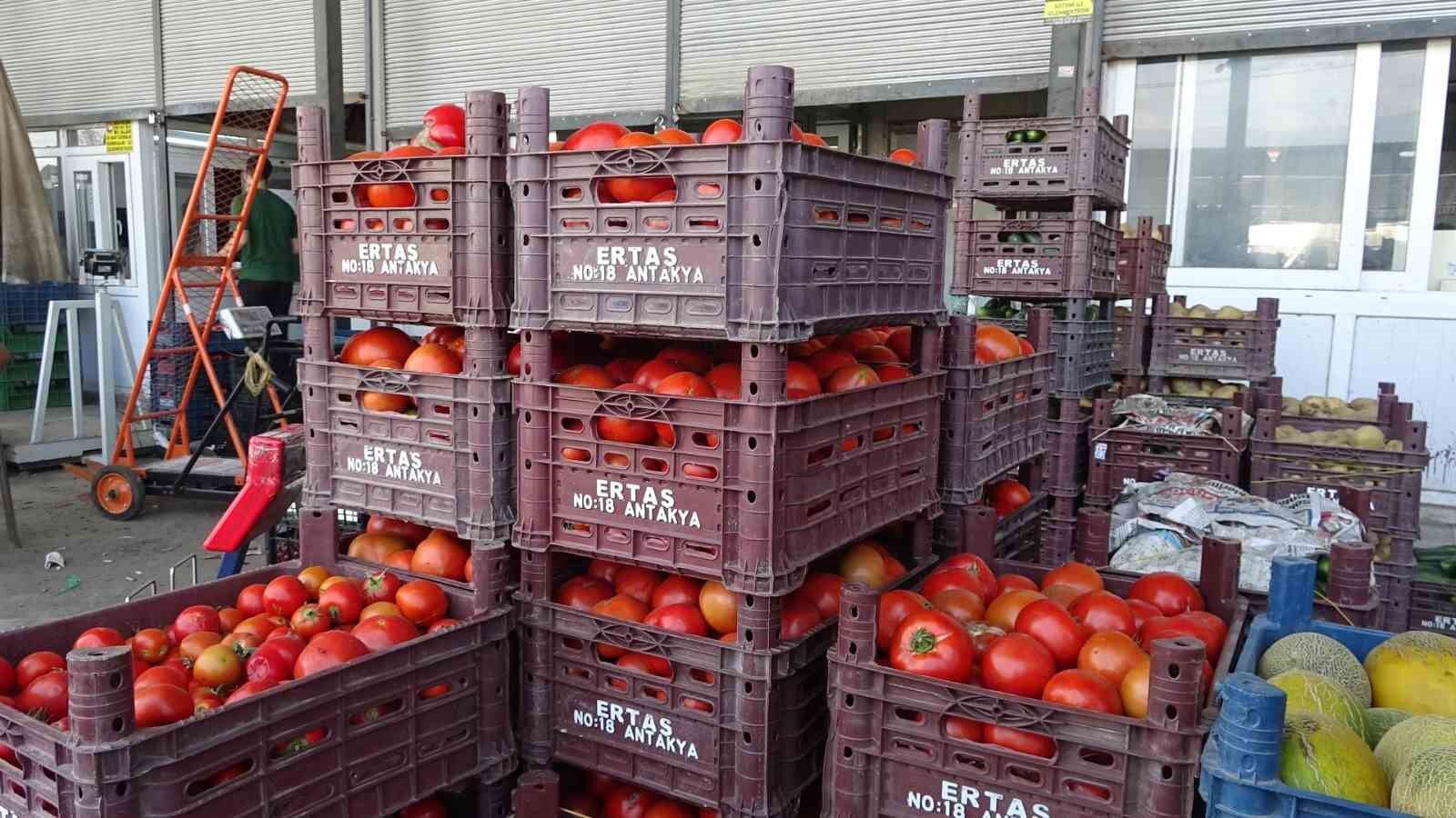 Denizli Haber Domates Hal 15 Tl (1)