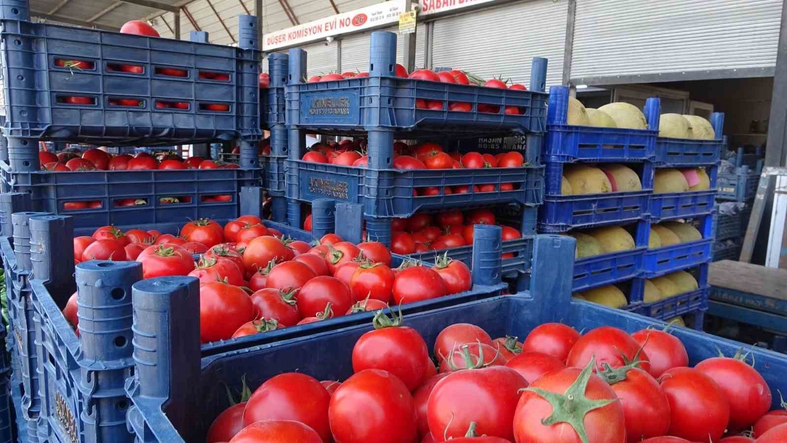 Denizli Haber Domates Hal 15 Tl (2)