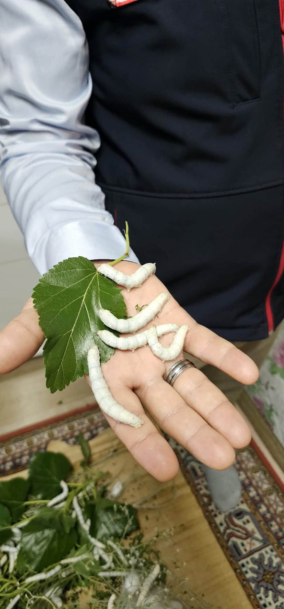 Denizli Haber Geleneksel Üretime Destek 2