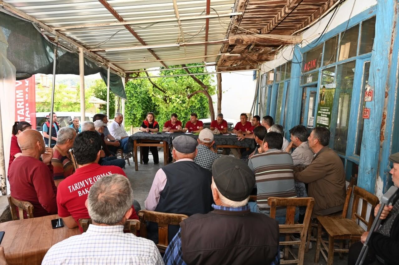 Denizli Haber Gül Hasadı Başladı (2)