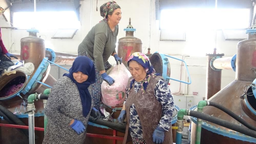 Denizli Haber Gül Yağı 2