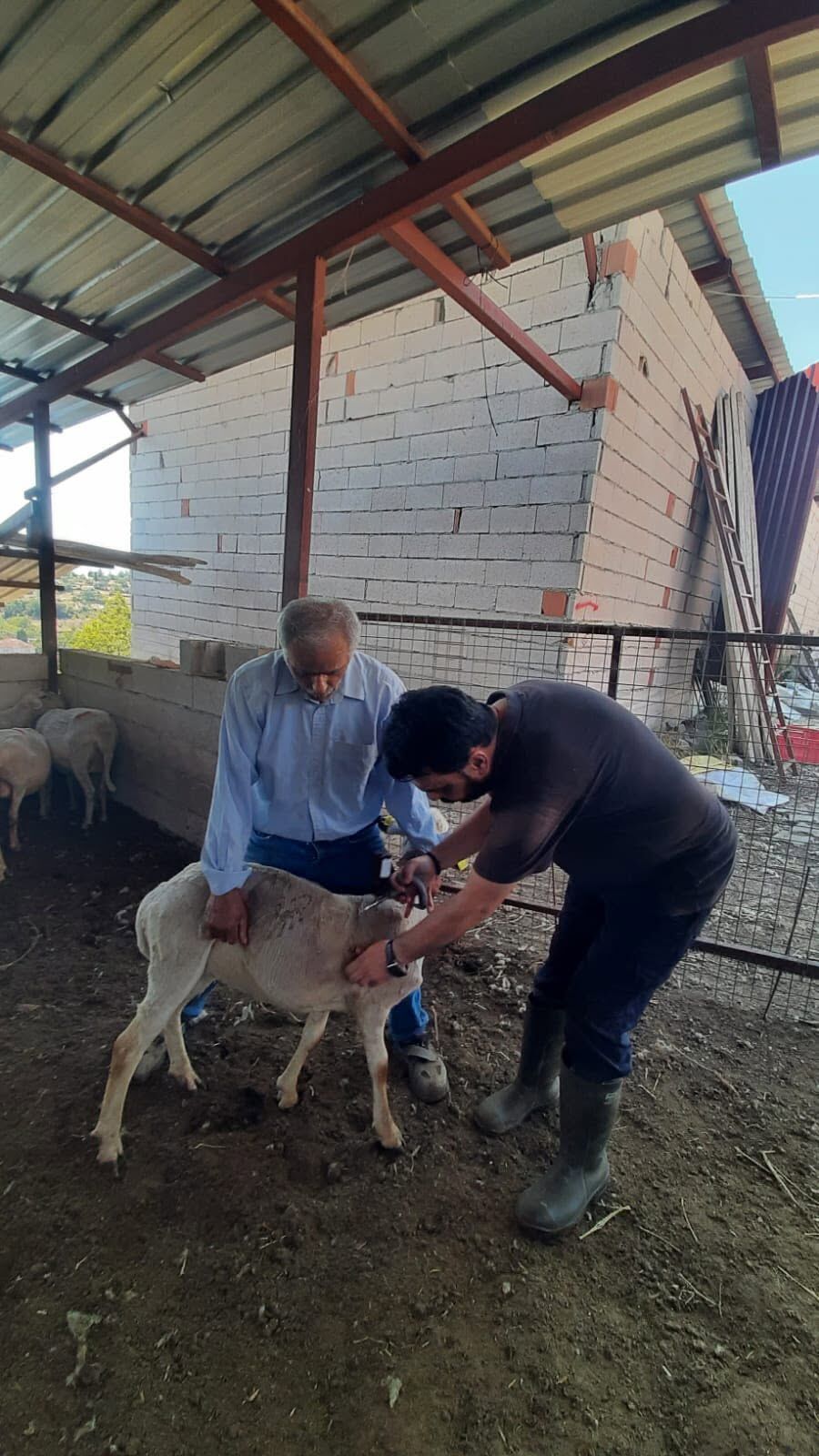Denizli Haber Iltarım (2)-1