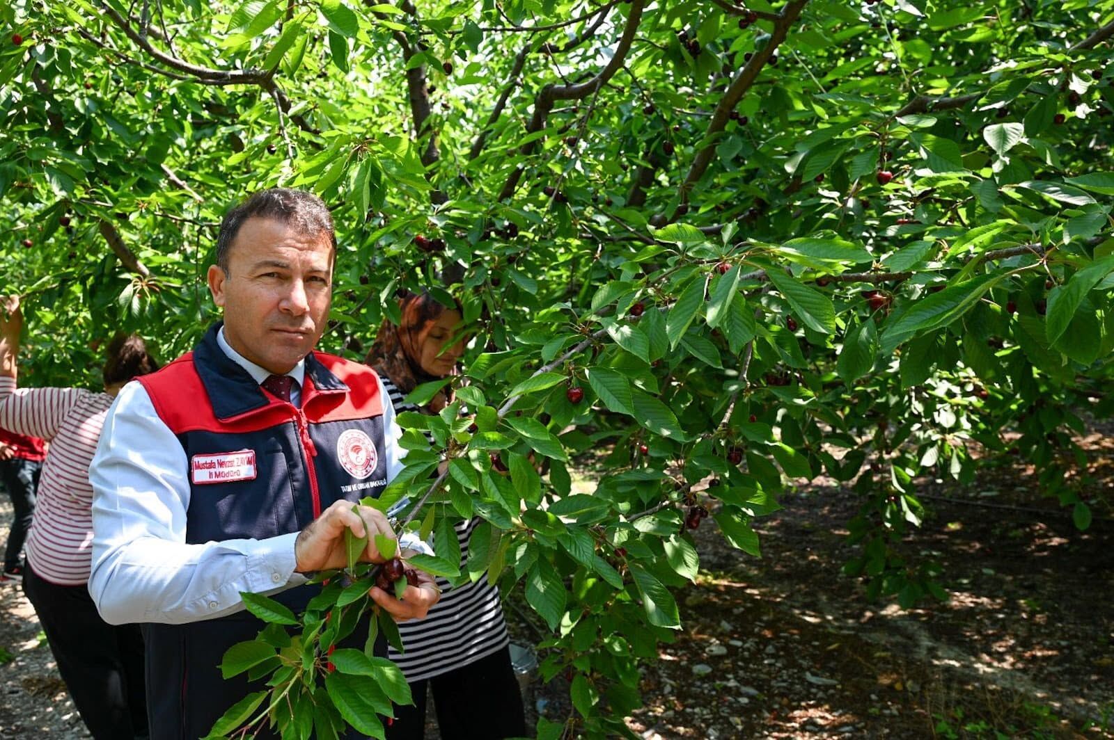 Denizli Haber Kirazzz (1)