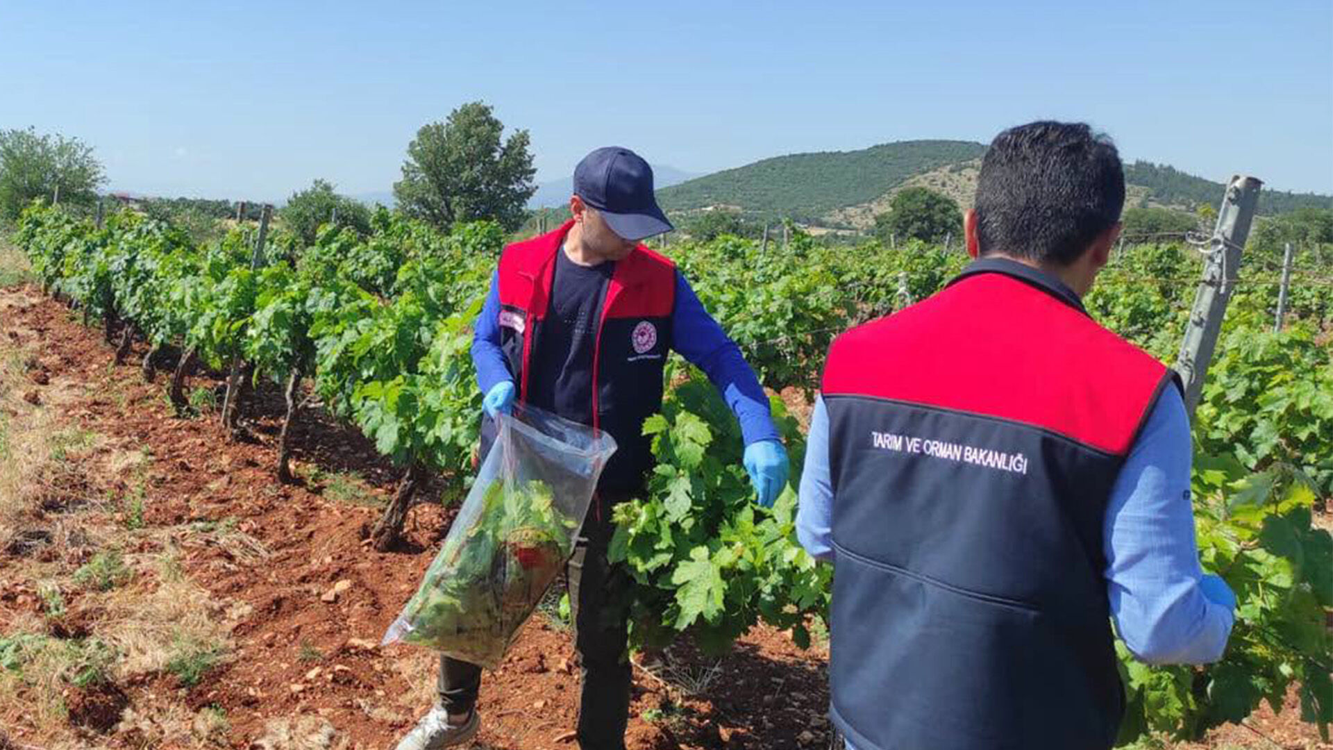 Denizli Haber Numuneler Toplanıyor (1)