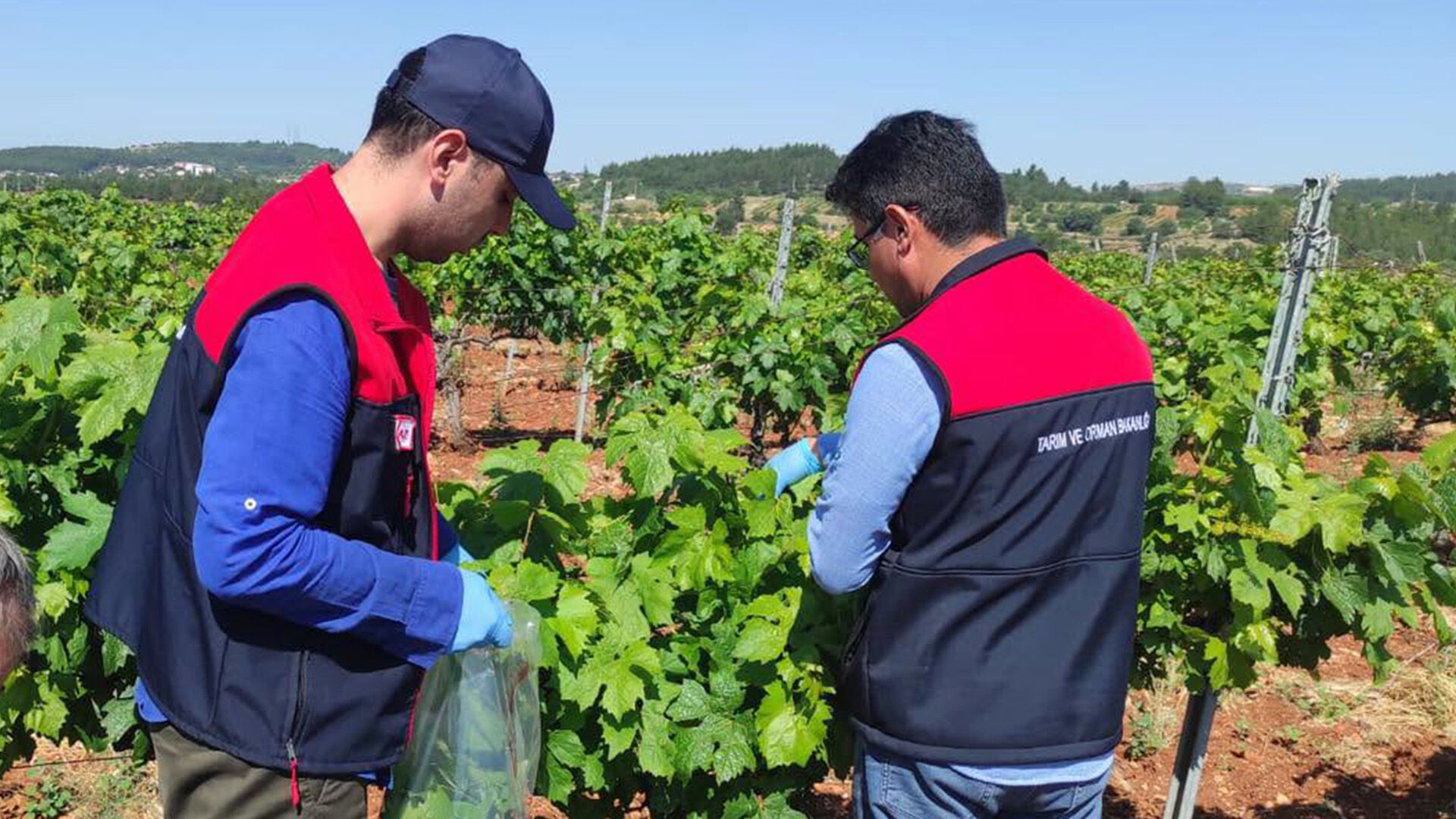 Denizli Haber Numuneler Toplanıyor (2)